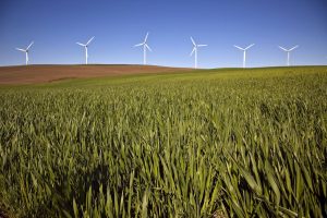 Wind Energy in Oregon